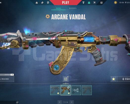 TR - ARCANE VANDAL + KARABORSA KELEBEK + 16 SKİN