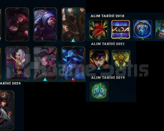 TR HANDMADE 12 SKIN UNRANKED RANKED HAZIR