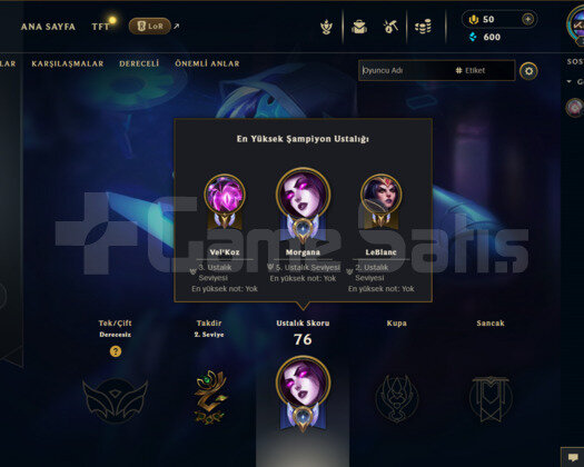 TR HANDMADE 12 SKIN UNRANKED RANKED HAZIR