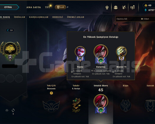 TR 2016 KOD ADI YASUO ÇERÇEVE SETLİ HANDMADE HESAP