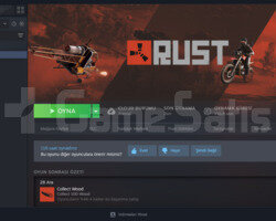 rust wip hesap