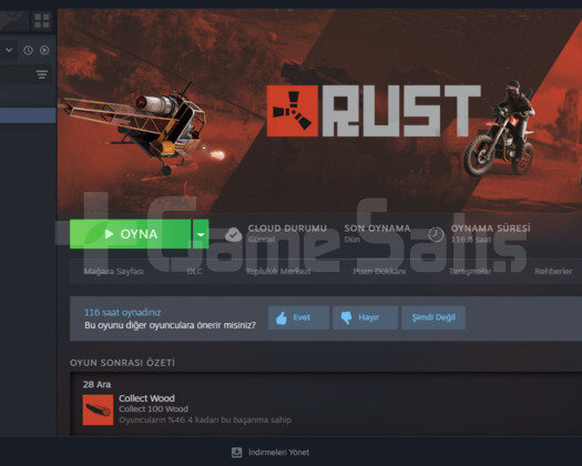 rust wip hesap
