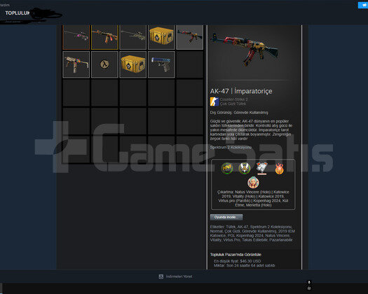 Faceit 2516 elo - 90 Dolar Envanterli