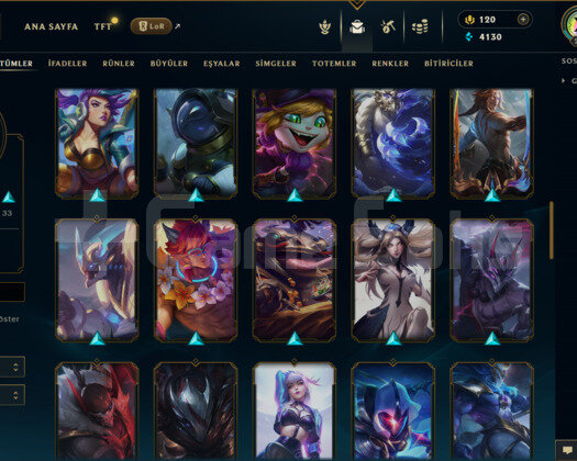 296 LEVEL / 65 SKİN / 117 HERO +MAİL +6700 SATIŞ