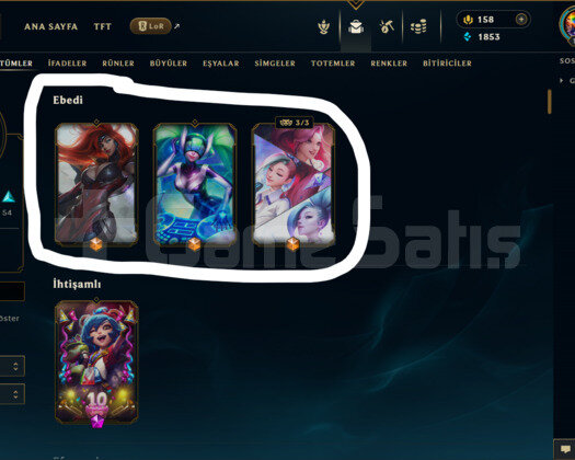 TR / 102 LEVEL / 155 SKİN / 144 HERO +MAİL