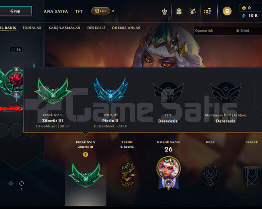 PLAT 2 +38LP -12LP 1SKİN Esnek Zümrüt 3 90WR