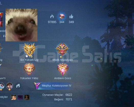 Gus colectorlu