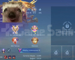 Mid main