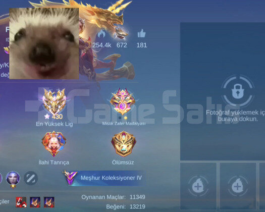 Mid main