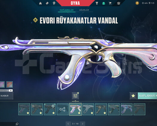 6 BIÇAK 8 VANDALLI FENASAL ACC!!