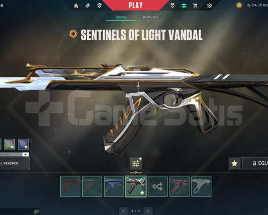 TR - RGX KELEBEK + IŞIK MUHAFIZI VANDAL + 37 SKİN