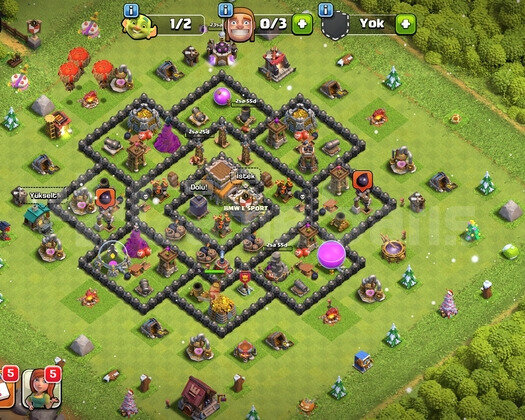 Th8 sağlam hesap