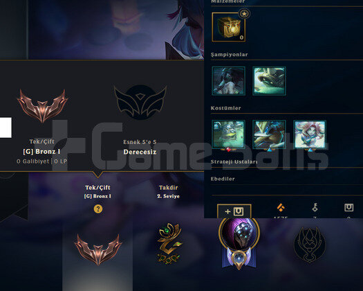 TR2019HANDMADE  MAİL DEĞİŞEN 12SKIN 32 HERO BRONZ1