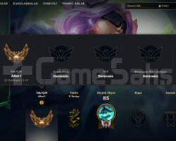 TR SOUL FIGHTER SAMIRA GOLD 1 5 SKIN 25 HERO SMURF