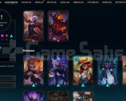 TR 11 SKIN 55 HERO S14 PLAT HANDMADE SMURF HESAP