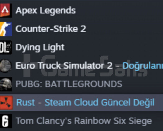 Mail değişen 100 dolar değerinde steam hesabı