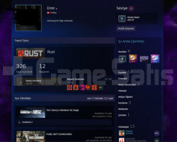 Mail değişen 100 dolar değerinde steam hesabı
