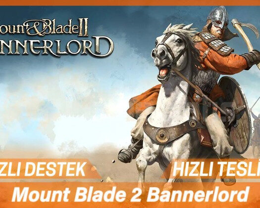 Mount & Blade 2 Bannerlord