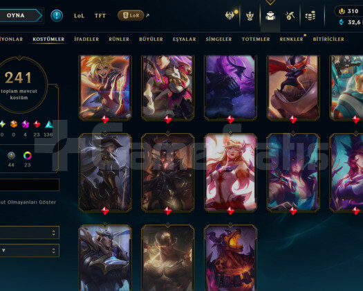 311 LEVEL / 241 SKİN / FUL HERO +MAİL +6800 SATIŞ
