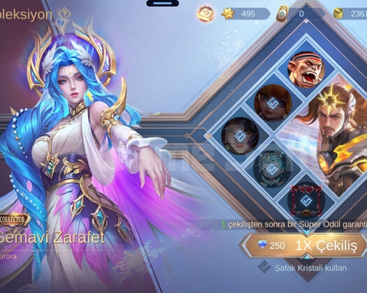 RANK ORANLI + İSTEDİĞİN COLLECTORÜ AL