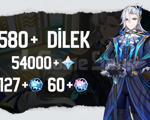 EU | MR53 580+ Dilek - 53000 Köken 127+60 Yazgı