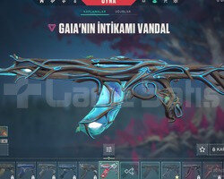 Rgx Kelebek Ve 2 Mükemmel Vandallı hesap