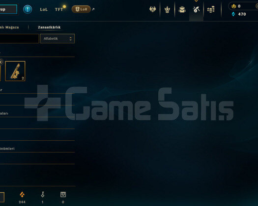 TR FLEX GOLD 4 / SOLOQ SİLVER 2