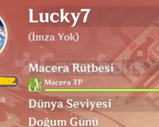 EU AR 49 | 12x5 | Ayaka + BiS R2 Mid hesap kaçmaz