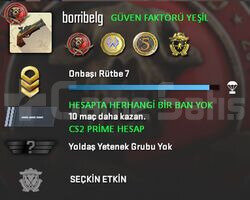 CS2 Prime | 4 Madalya | Yeşil Faktör + Garanti