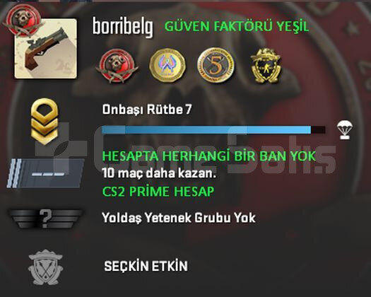CS2 Prime | 4 Madalya | Yeşil Faktör + Garanti