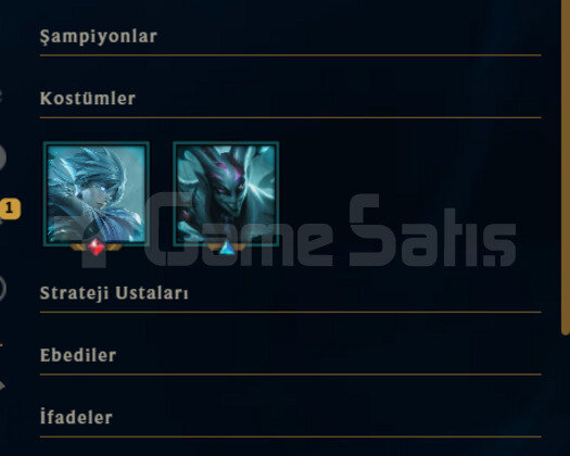 ELLE KASILMIŞ / 61 LEVEL / 12 KOSTÜM