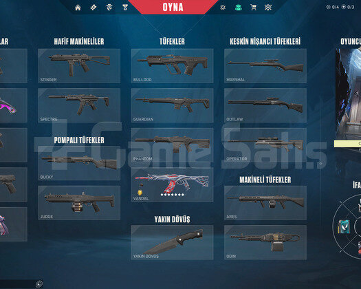GAİA VANDALLI SMURFLUK ACC!