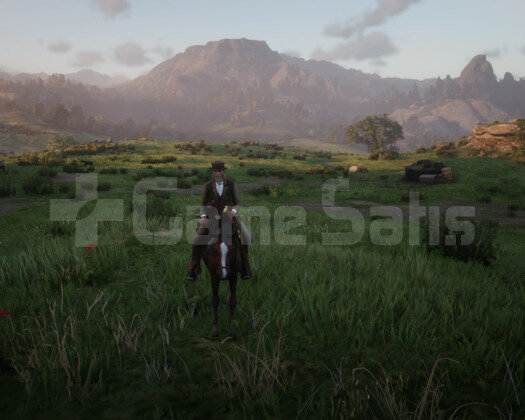 RDR 2 94 LVL 10000 GOLD 10000K ONLİNE +İLK MAİL