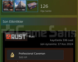 DOLU RUST HESABI
