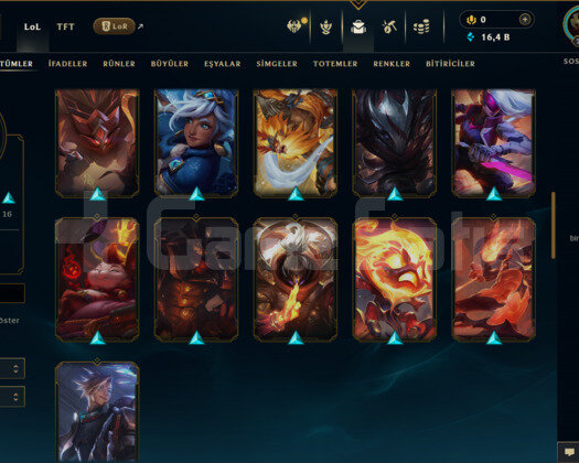 TR / 230 LEVEL / 54 SKİN / 110 HERO +MAİL