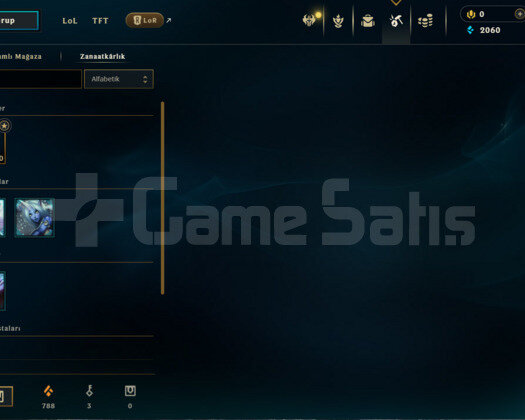 TR  DEMİR 4 / 0LP S12 HESABI /4 KOSTÜM