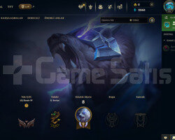 TR  DEMİR 4 / 0LP S12 HESABI /4 KOSTÜM