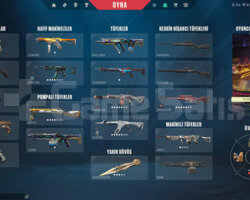 TADINDA DOLU BUCKYSİNE KADAR SKİNLİ MAİNLİK ACC!