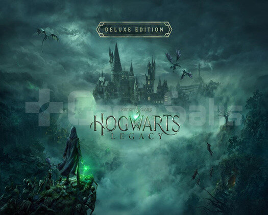 Hogwarts Legacy Deluxe Edition + Garanti