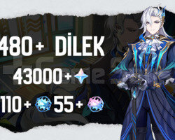 EU | MR50 480+ Dilek - 43000 Köken 110+55 Yazgı