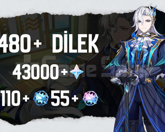 EU | MR50 480+ Dilek - 43000 Köken 110+55 Yazgı
