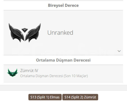 GEÇEN SEZON ELMAS / BOL KOSTÜM / WEST