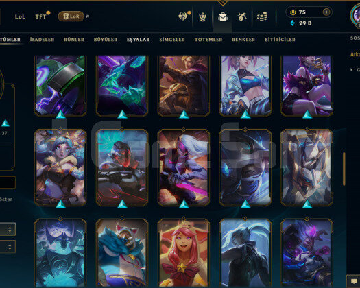 TR / 220 LEVEL / 67 SKİN / 106 HERO +MAİL