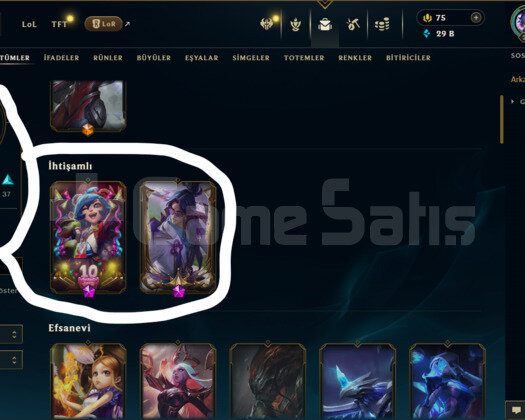 TR / 220 LEVEL / 67 SKİN / 106 HERO +MAİL