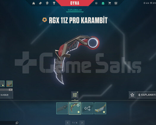 ASİL VE RGX KARAMBT/SİHİRPUNK/İYON EPOSTA HESAP