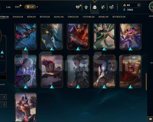 TR / 121 LEVEL / 51 SKİN / 75 HERO +MAİL