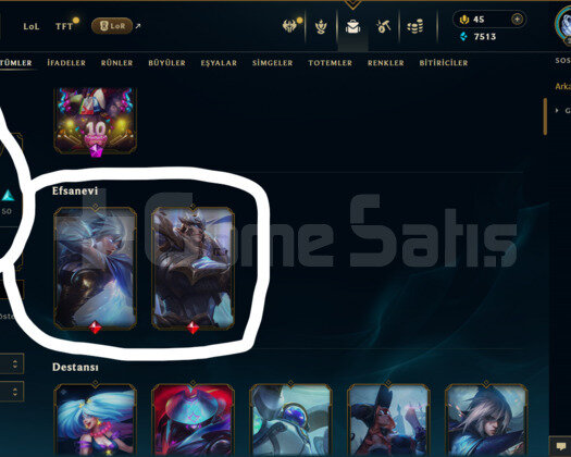 TR / 298 LEVEL / 107 SKİN / 169 HERO +MAİL