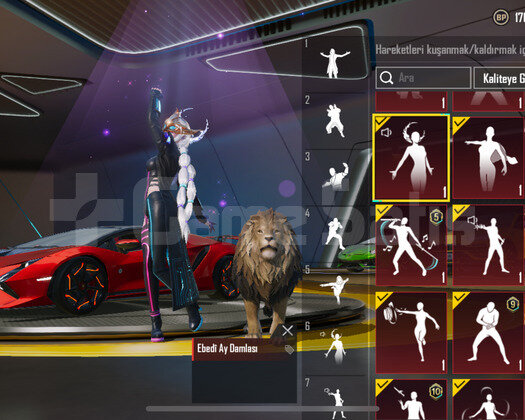 LAMBORGHİNİ FULL GARAGE | YAYINCI HESABI | BUZ !