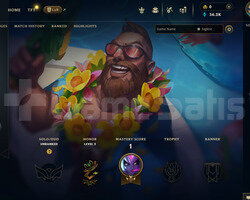 EUW Unranked | 1 Kostüm - 36K Mö | LoL Hesap