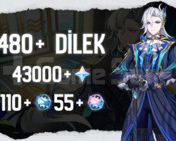 EU | MR50 480+ Dilek - 43000 Köken 110+55 Yazgı